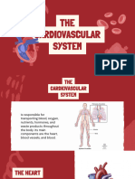 The-Cardiovascular-System