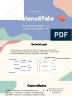 Cópia de Monitoria Telencéfalo 2M - Ana Clara e Beatriz Simões .pdf