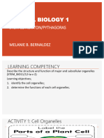 GENBIO1 Lesson 2 Cell Organelles