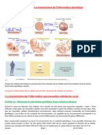 Chapitre 2 La Transmission de l Information Genetique 2022 Corrige d