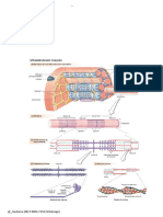 Práticas FISIO MULTI 2