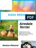 dog breeds