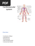 circulatory system