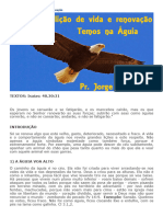 A Águia - Uma Lição de Vida e Renovação - Estudos Bíblicos