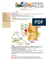 Anguillulose (Strongyloides stercoralis) _ fiche