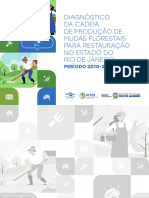 Diagnóstico Da Cadeia de Produção de Mudas Florestais Para Restauração No RJ 2010 2020 Compressed (1)