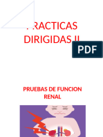 Pruebas de Funcion Renal ...