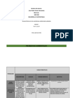 Gomez_Juan_cuadro_sinoptico_problemas_ambientales