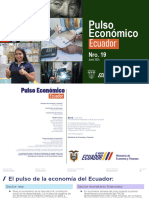 Pulso_Economico_N19_Junio_2024