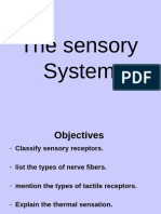 28. Sensory System 