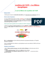 Partie 3 - Resynthèse de l’ATP – Les filières énergétiques