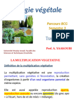 TD 2 Biologie végétale_031931