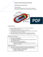 Tema 2 micro 