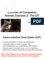 Lecture_04 Companion Animals 02