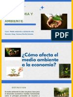 La Economia y El Medio Ambiente 5