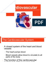 cardiovascular