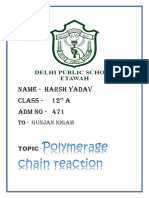 Polymerase Chain Reaction