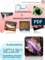 Aula 11 - Platelmintos e Nematelmintos Aula Isa