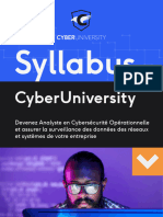 Syllabus_Cyber_v4+(1)