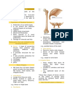 Skeletal System