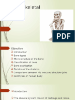 1 - Human Skeletal system