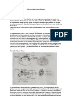 Laboratorio Moluscos