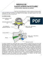 Fiche Rhizolyse