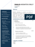 CV professionnel .pdf