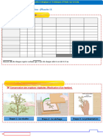 Classification Des Etres Vivants