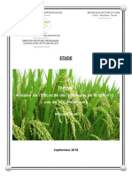 Etudes_Rapport_Final_Riz_DESDP_DGE_03022019