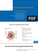 t7 Motilidad Gastrica e Intestinal