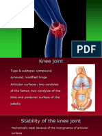 Knee Joint