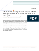 Diffuse Neural Coupling Mediates Complex Network Dynamics Through the Formation of Quasi-critical Brain States