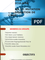 Mutation et réparation de l'ADN G20