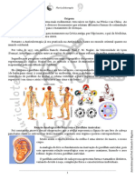 auriculo triangulo resumo