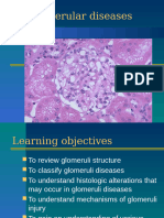 Glomerular diseases