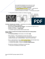 CM Physiologie Ve%CC%81ge%CC%81tale