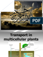 Transport in multicellular plants.ppt