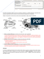 FT 4_Biologia_12ºA - CC