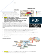 RESUMEN 2DO PARCIAL NEUROCIENCIA1