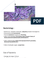 Bacteria Notes