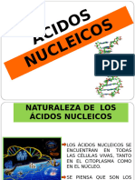 ÁCIDOS NUCLEICOS N