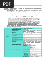 Palabras transversales Determinante y Pronombre