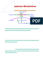 Lec2 Glycolysis 2nd 24-25