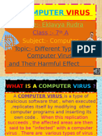 Computer Virus