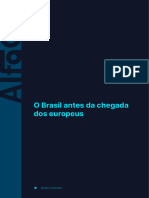 Principais nações indigenas do brasil