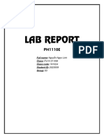 LAB REPORT