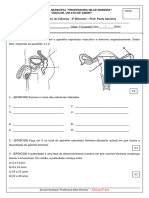 Exercício Avaliativo Ciências 8 ano 4 bimestre 2024 CERTO