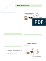 resumo de bioenergética