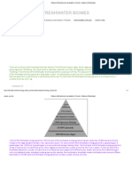 FRESHWATER BIOMASS AND ENERGY PYRAMID - FRESHWATER BIOMES